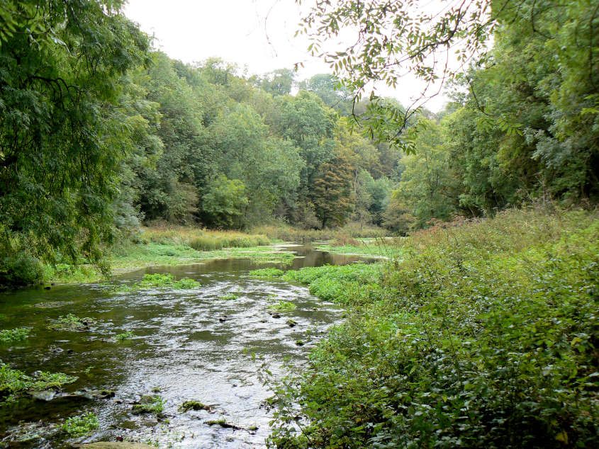 Bradford Dale Bradford Dale